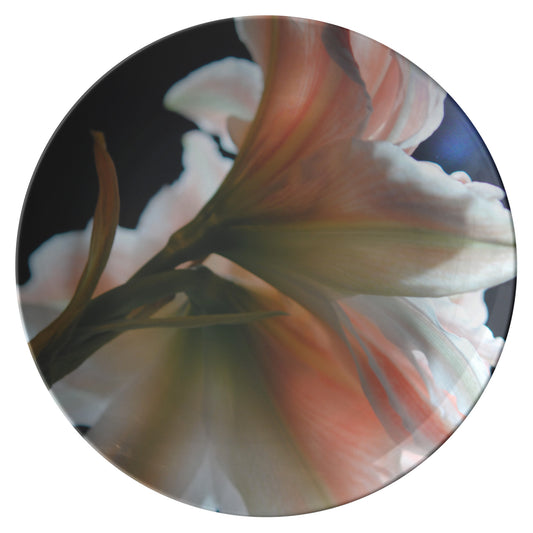 Amaryllis In The Light Dinner Plate