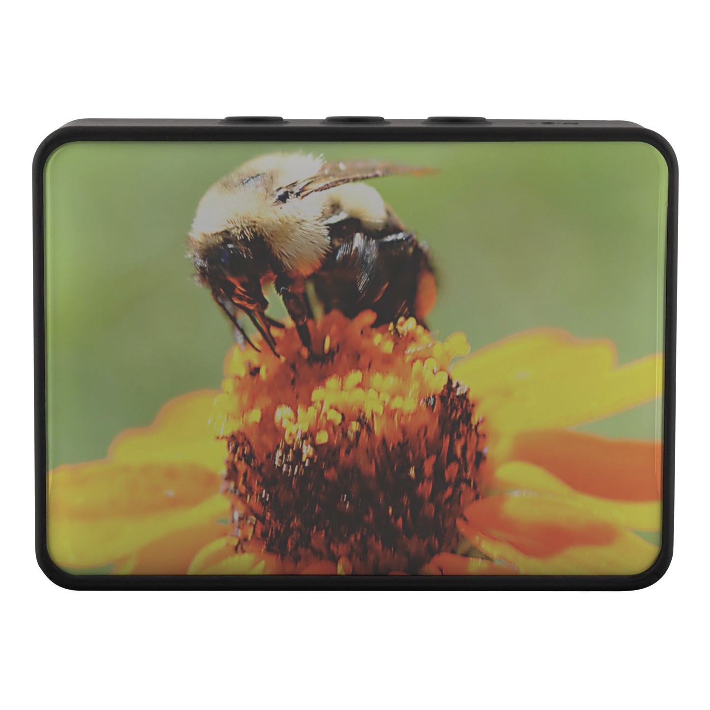 Bee on a Flower Boxanne Bluetooth Speakers