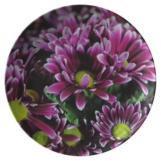 Maroon and White Mums Dinner Plate