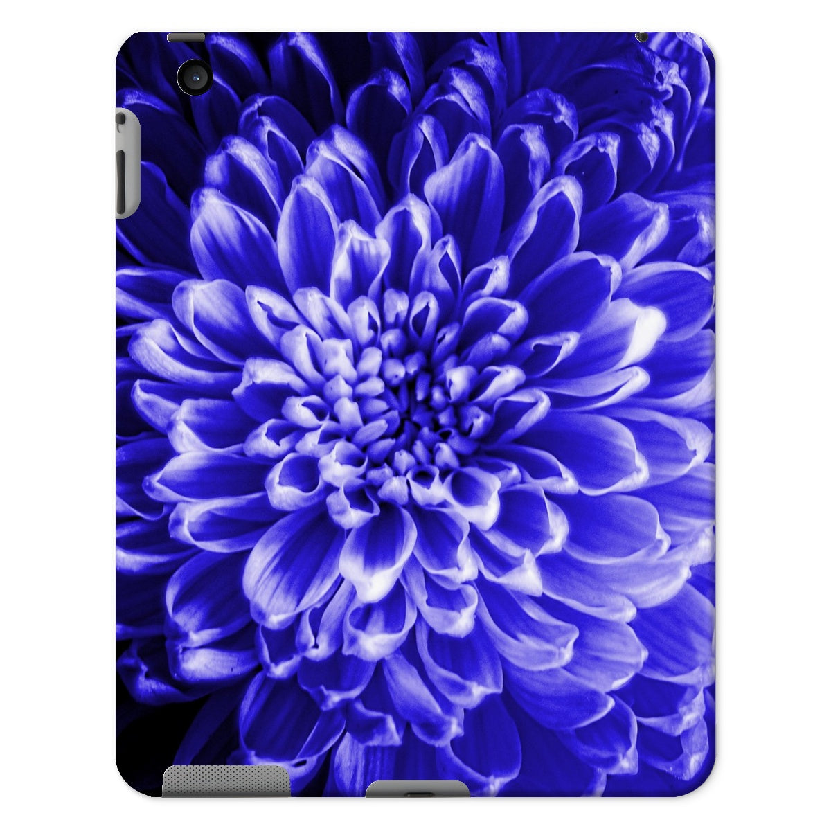 Blue Chrysanthemum Tablet Cases