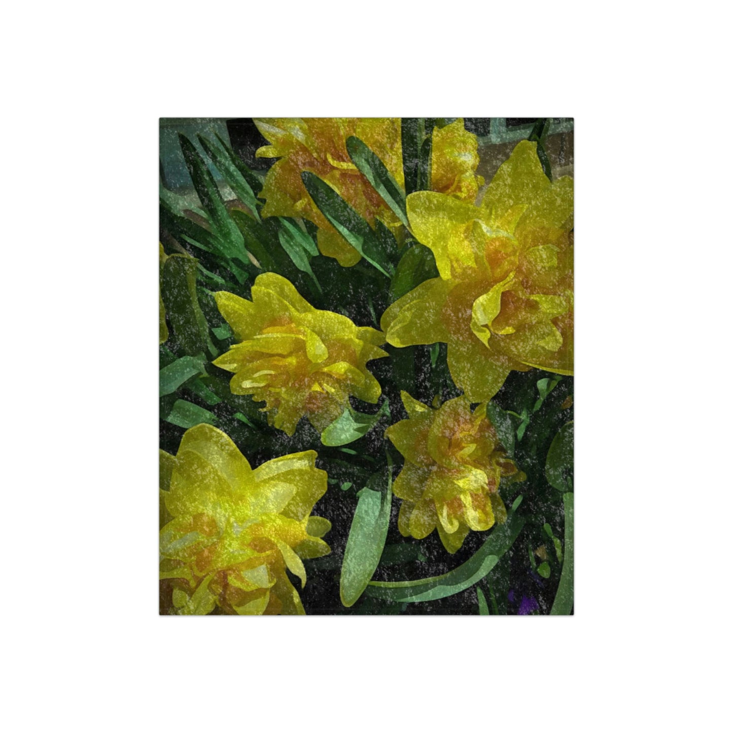 Bright Yellow Daffodils Crushed Velvet Blanket