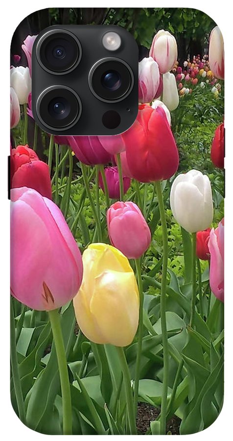 Home Chicago Tulips - Phone Case