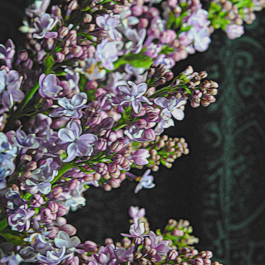Light Purple Lilacs Digital Image Download