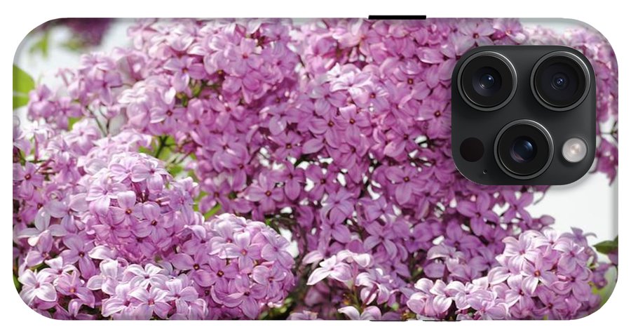 Lilacs With Sky - Phone Case
