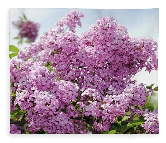 Lilacs With Sky - Blanket