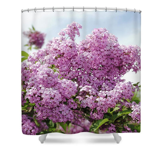 Lilacs With Sky - Shower Curtain