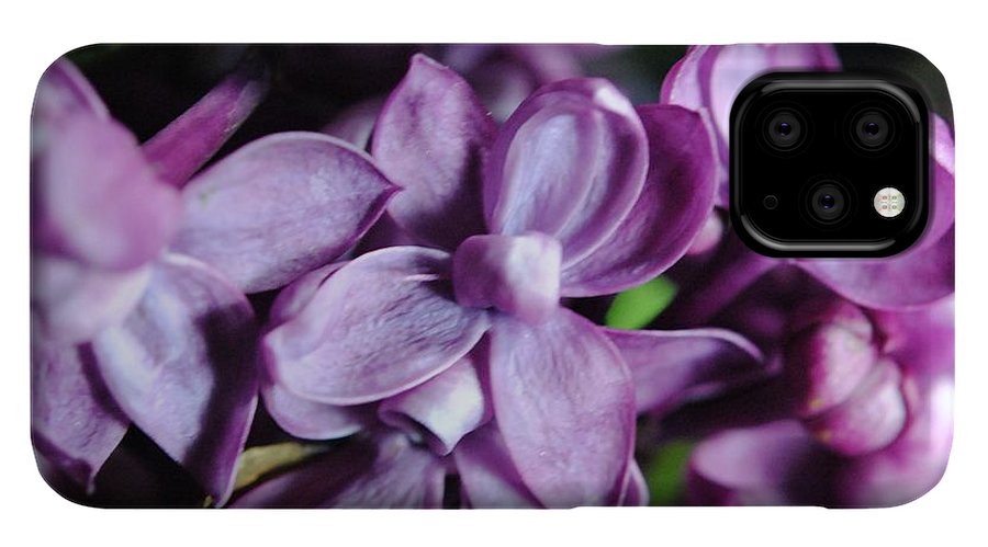 Macro Lilacs - Phone Case