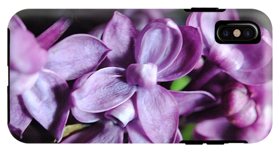 Macro Lilacs - Phone Case
