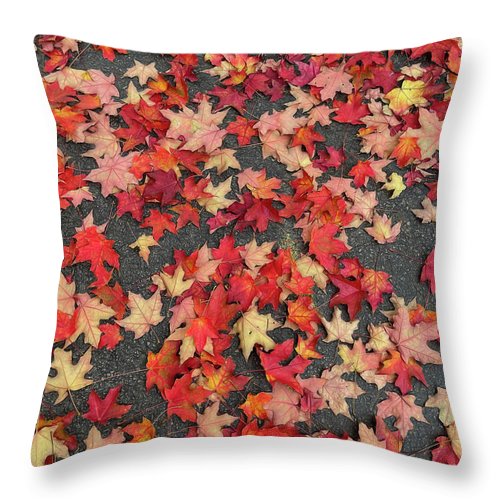 Maple Leaves In October 1 - Throw Pillow