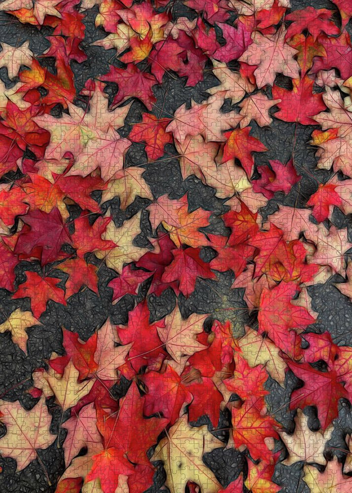 Maple Leaves In October 2 - Puzzle