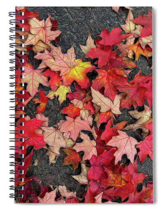 Maple Leaves In October 3 - Spiral Notebook