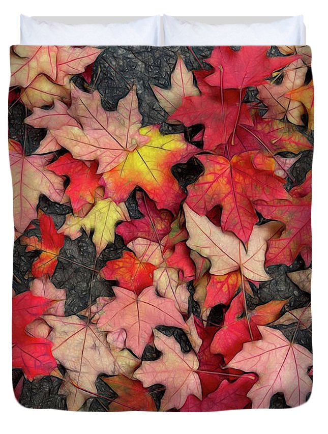Maple Leaves In October 3 - Duvet Cover