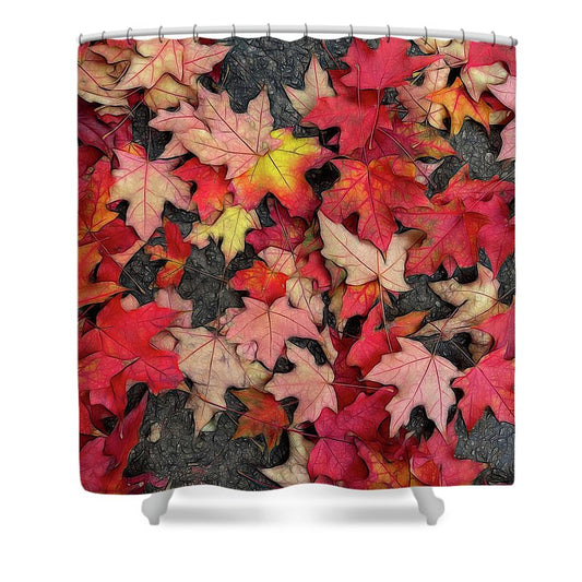 Maple Leaves In October 3 - Shower Curtain