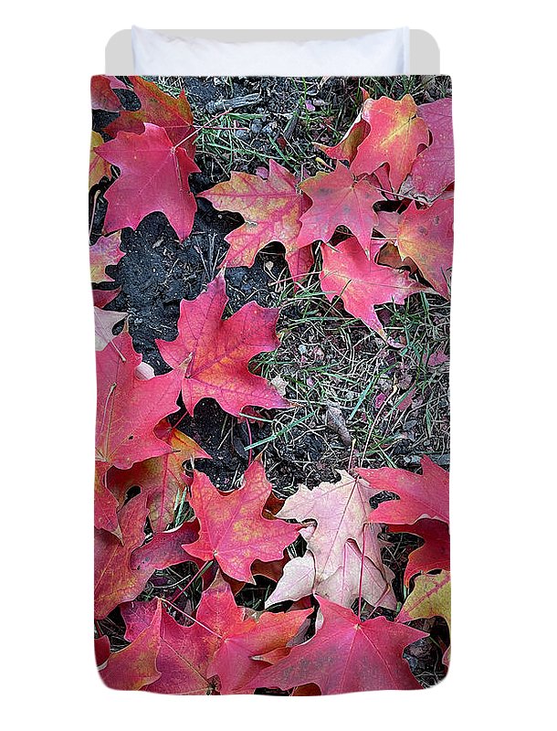 Maple Leaves In October 4 - Duvet Cover