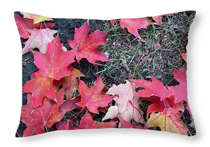 Maple Leaves In October 4 - Throw Pillow