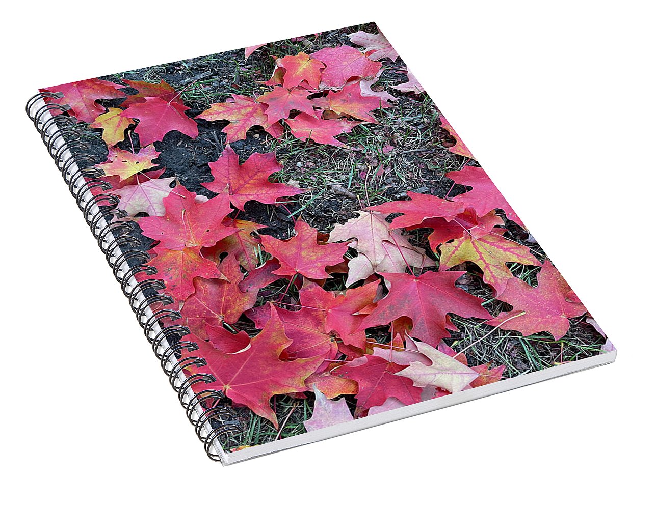 Maple Leaves In October 4 - Spiral Notebook