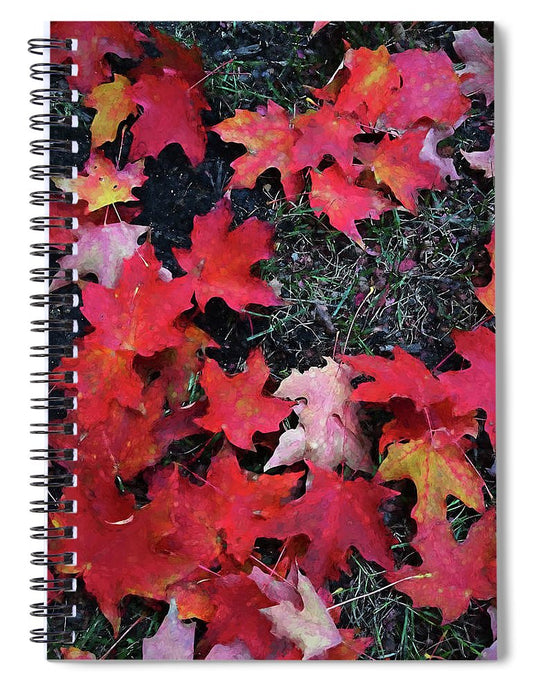 Maple Leaves In October 5 - Spiral Notebook