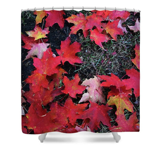 Maple Leaves In October 5 - Shower Curtain