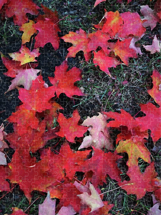 Maple Leaves In October 5 - Puzzle