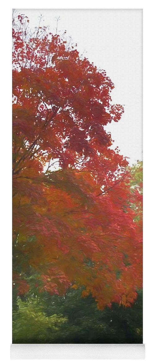 Maple Tree In October - Yoga Mat