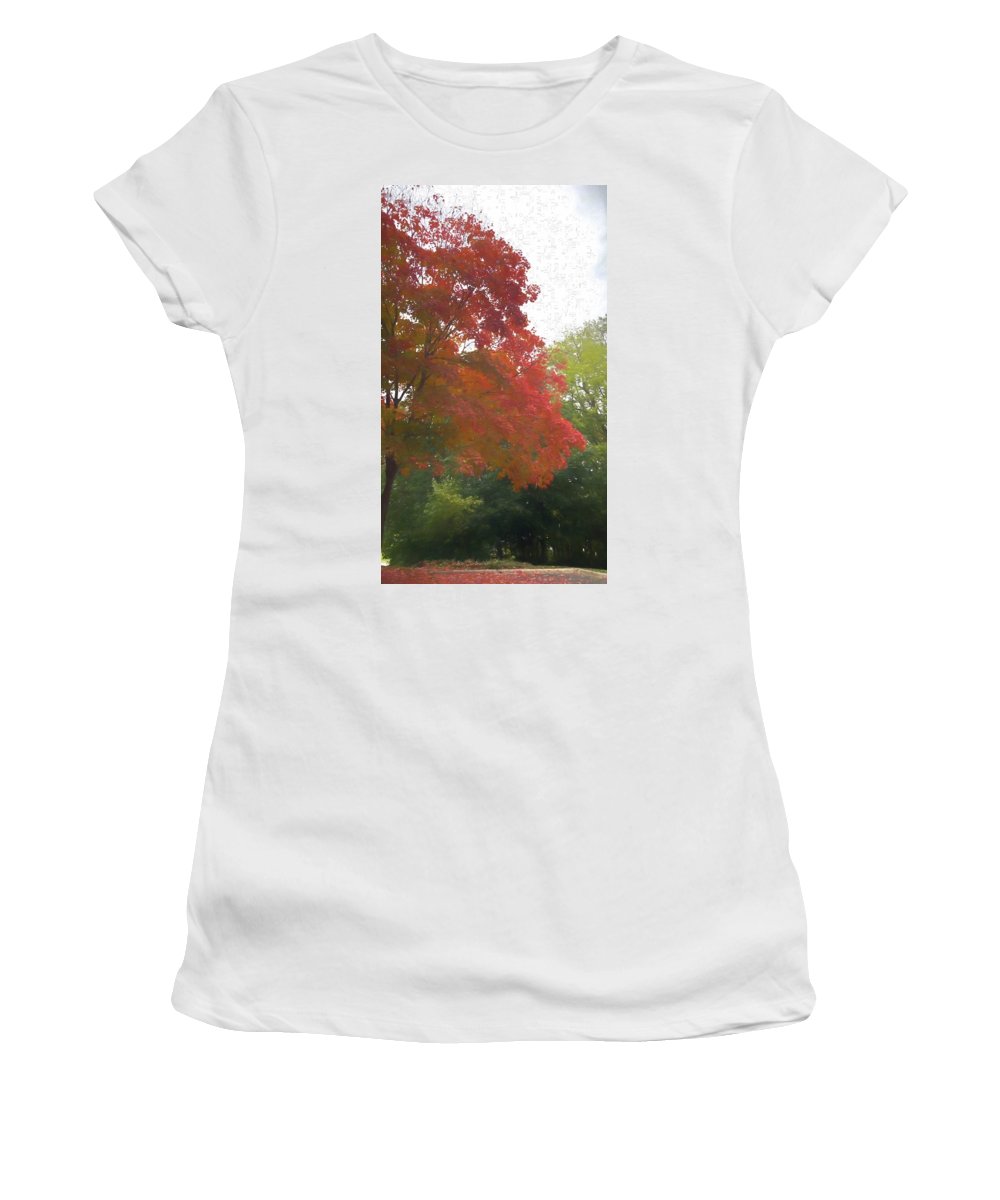 Maple Tree In October - Women's T-Shirt