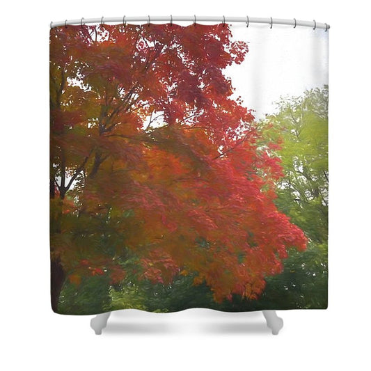 Maple Tree In October - Shower Curtain