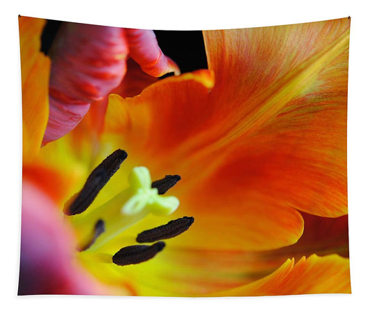 Orange Parrot Tulip Close Up - Tapestry