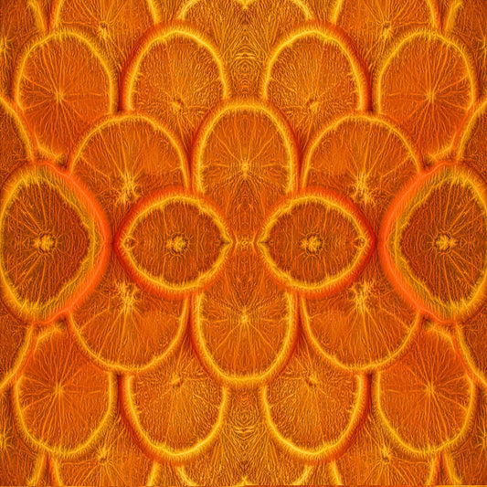 Orange Slices Digital Image Download