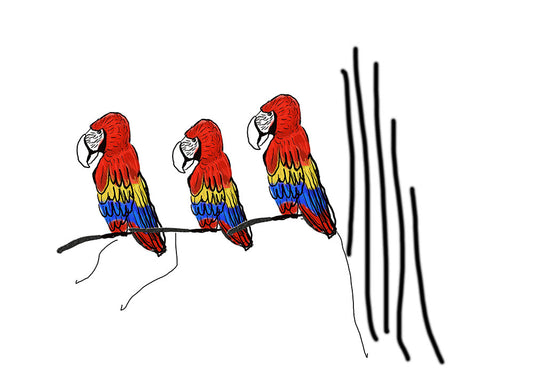 Parrots on The Tree Digital Image Download