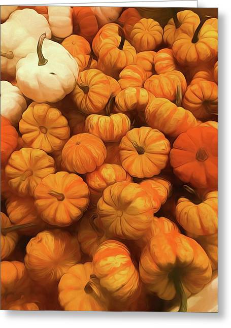 Pumpkins Tiny Gourds Pile - Greeting Card