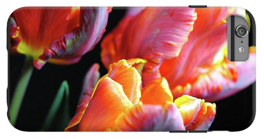 Red and Orange Tulips - Phone Case