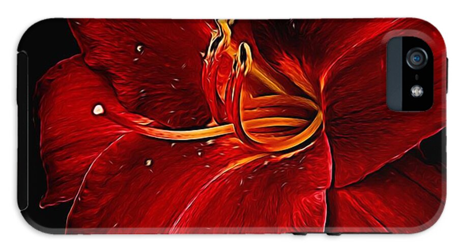 Red Daylily On Black - Phone Case