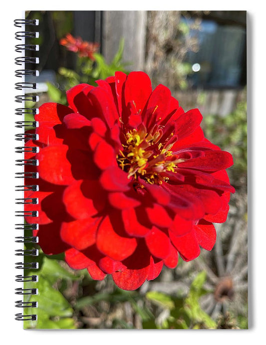 Red Flower In Autumn - Spiral Notebook