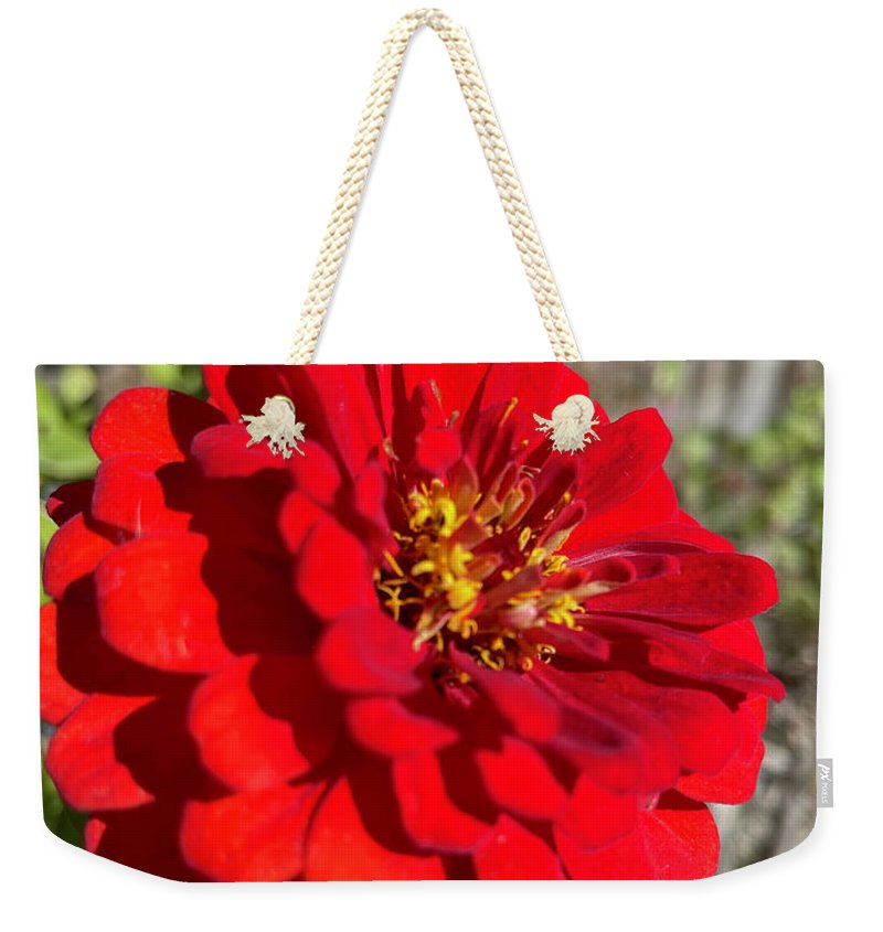 Red Flower In Autumn - Weekender Tote Bag