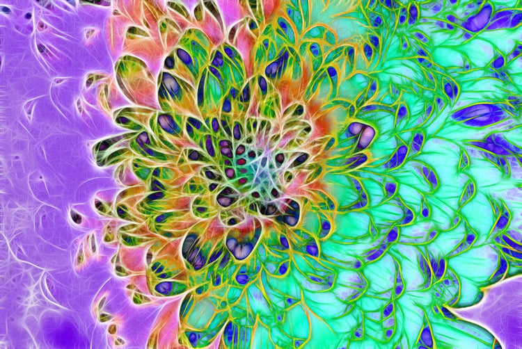 Abstract Peacock Chrysanthemum