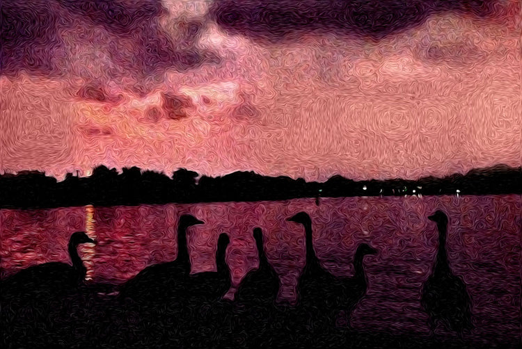 Seven Geese At Sunset