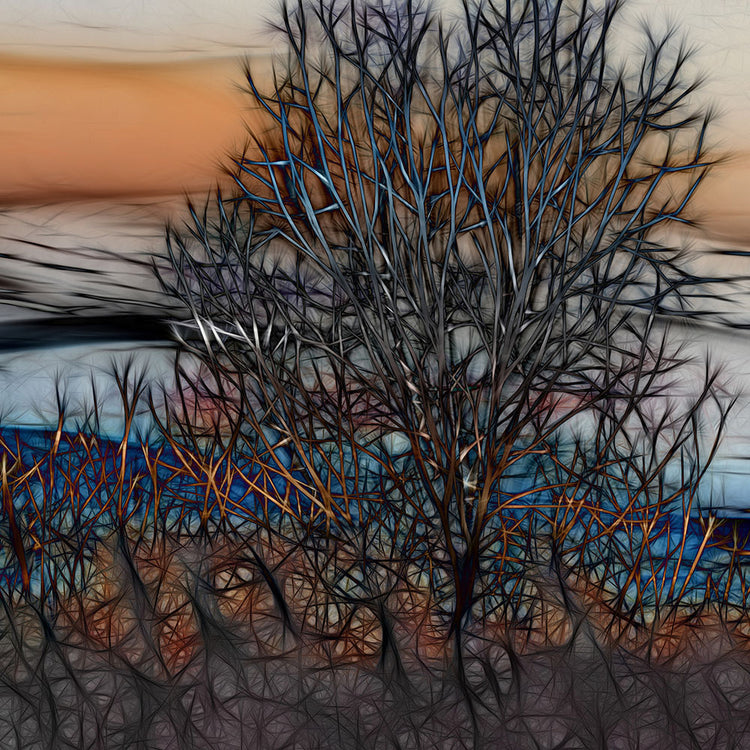 Abstract Sunset Tree