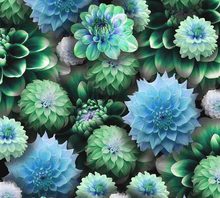 Blue Green Dahlias Collage