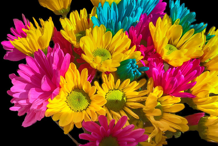 Bright Daisy Bouquet