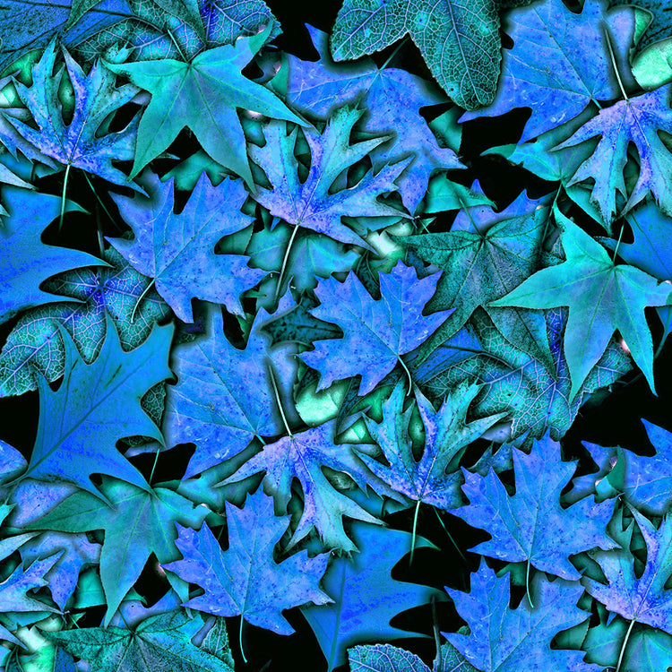 Fall Leaves In Blue