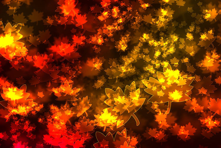 Fall Leaves In Bokeh Light