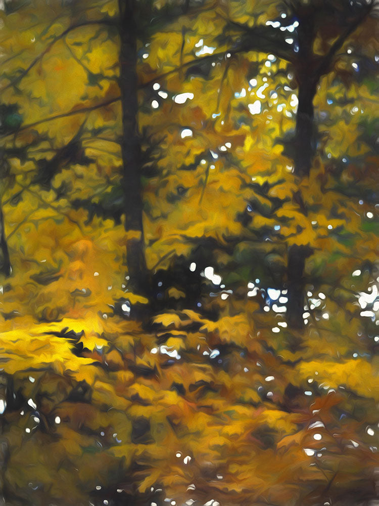 Fall Yellow Trees