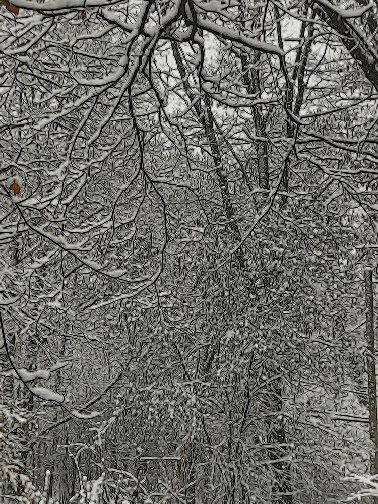 First Winter Snow