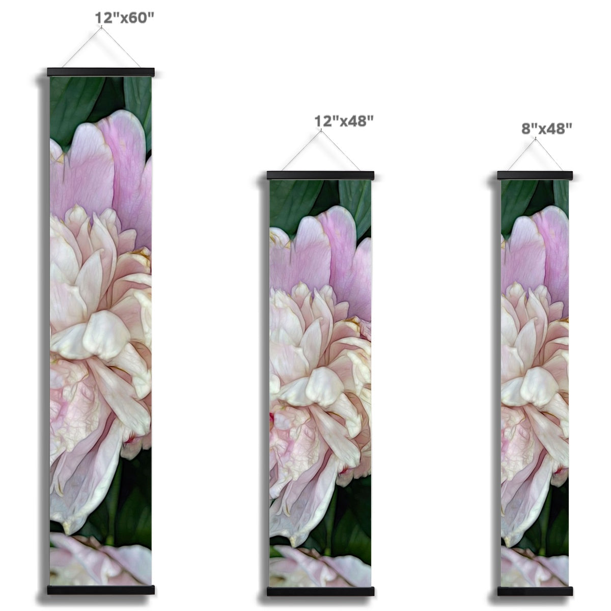 June Peony Wall Height Chart