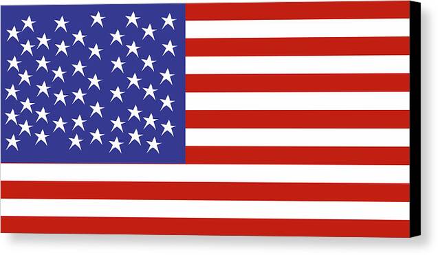 American Flag 1 - Canvas Print