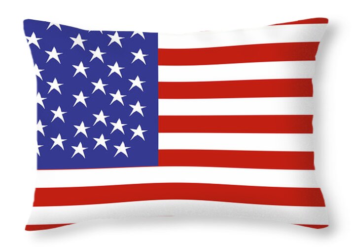 American Flag 1 - Throw Pillow