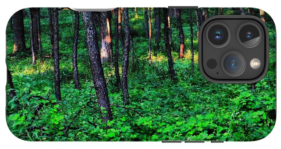 Patchy Sunlight In The Woods 1 - Phone Case