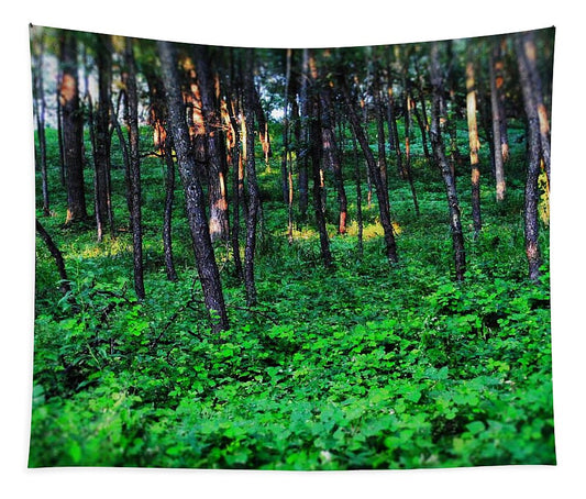 Patchy Sunlight In The Woods 1 - Tapestry