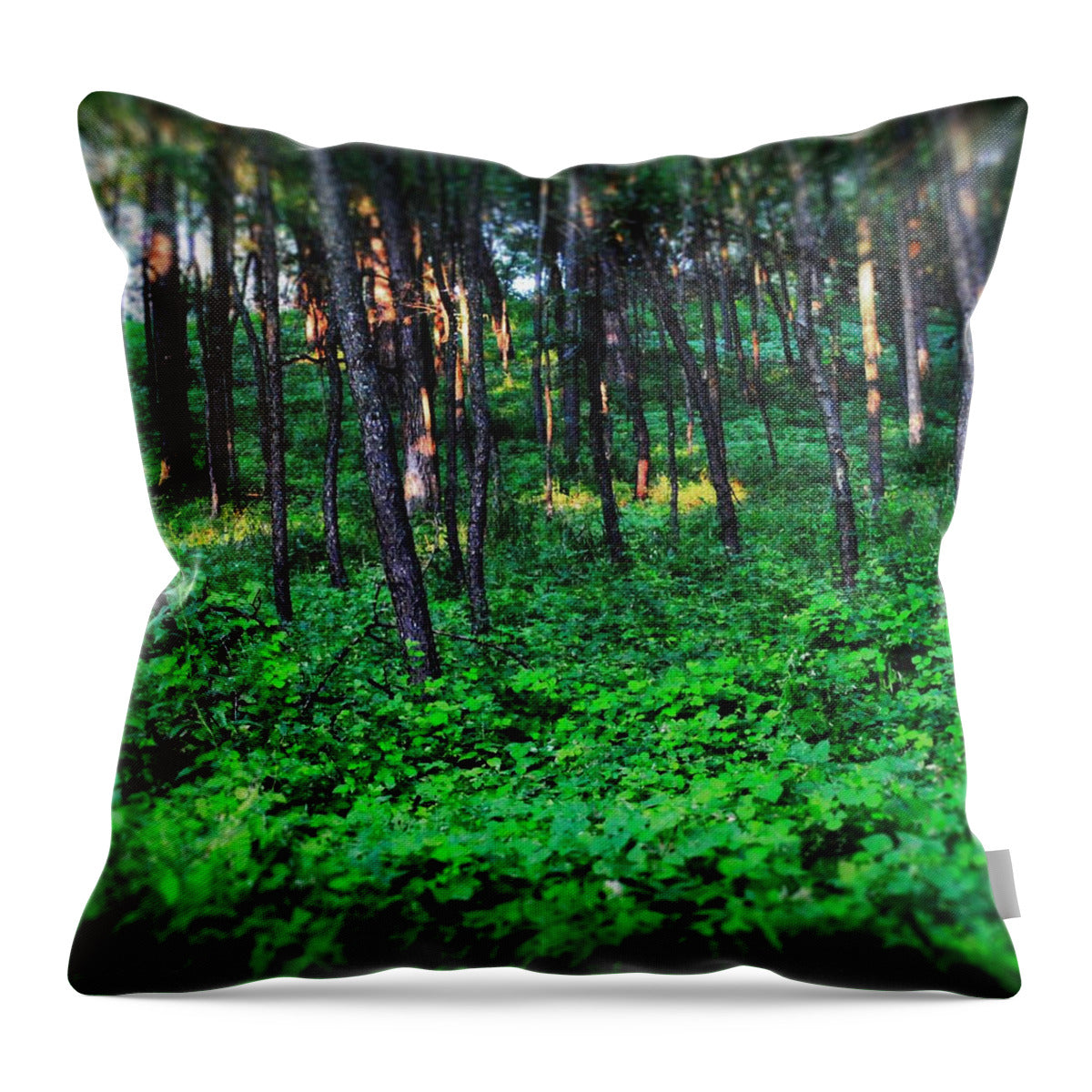 Patchy Sunlight In The Woods 1 - Throw Pillow