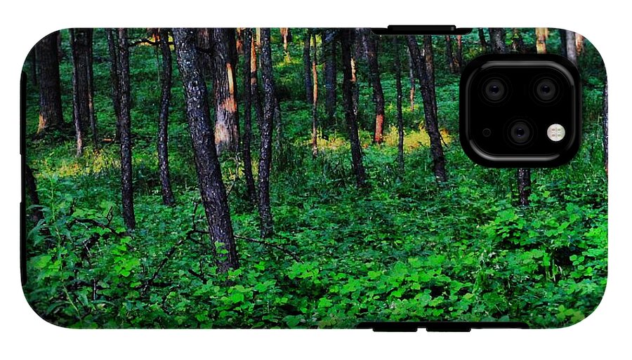 Patchy Sunlight In The Woods 1 - Phone Case